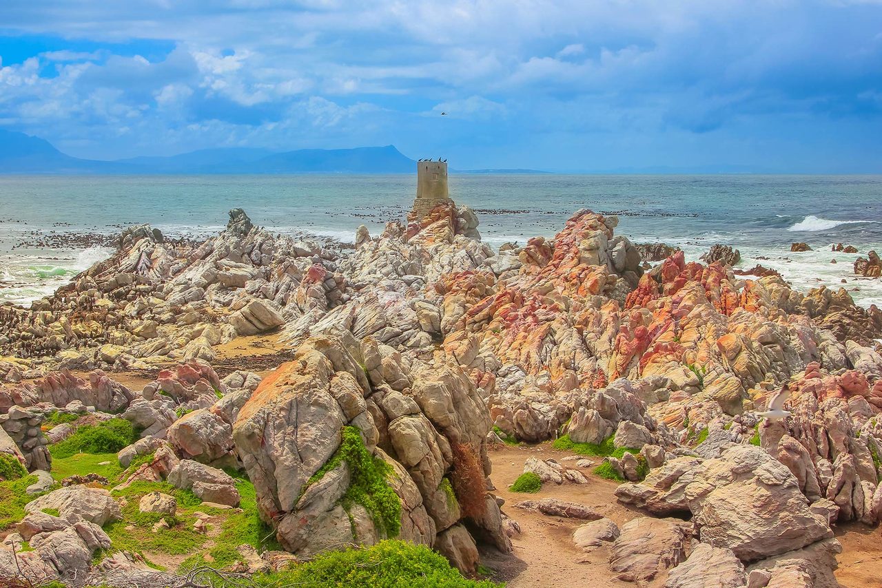 Cormorant Point (Galapágy, Floreana), Ekvádor, Jižní Tichý oceán