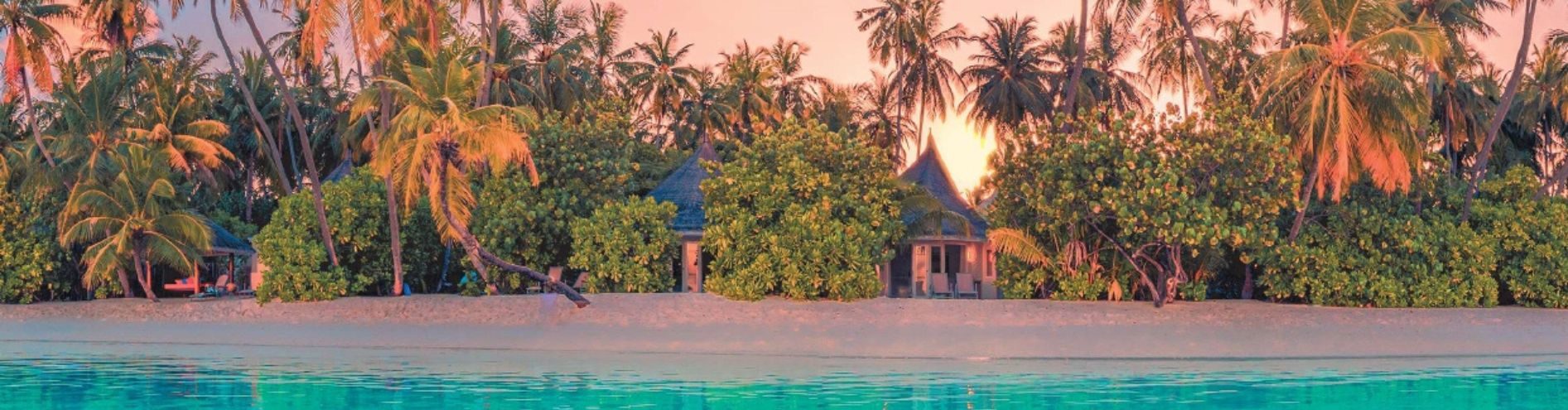 Získali jsme ocenění TOP Partner Invia za rok 2025