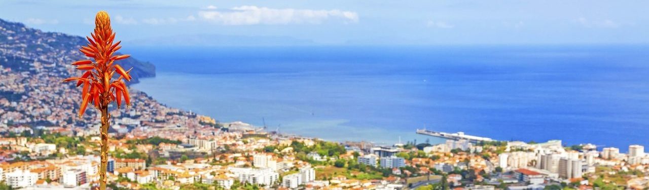 Madeira, ostrov věčného jara: Co musíte vidět, ochutnat a zažít?