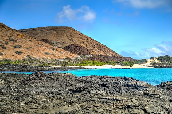 Sullivan Bay (Galapág, Santiago)