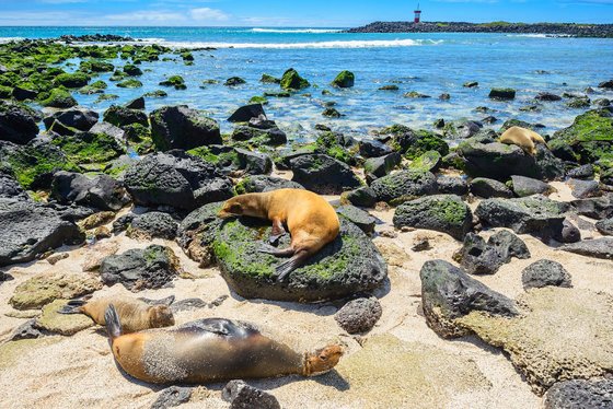 Puerto Baquerizo (Galapágy, San Cristobal)