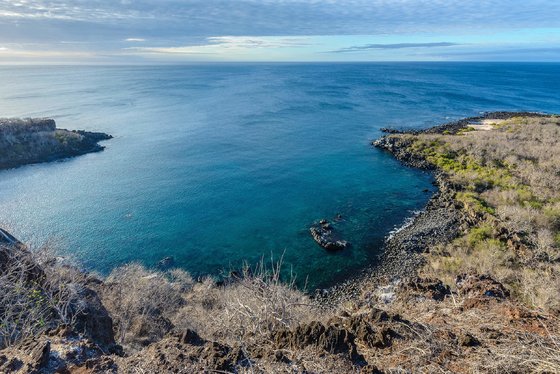 Moreno Point (Galapágy, Isabela)