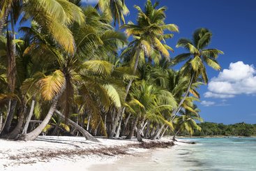 La Romana