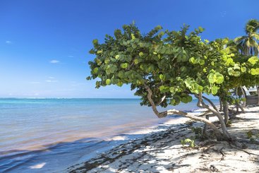 Oranjestad