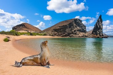 Darwin Bay (Galapágy, Genovesa)