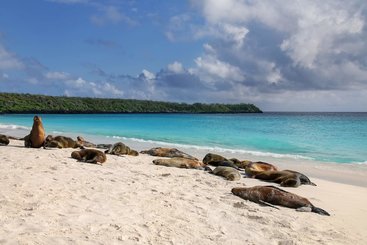 Gardner Bay (Galapágy, Española)