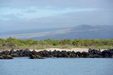 Urbina Bay (Galapágy, Isabela)