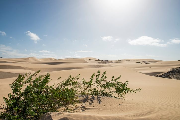 Boa vista - Písečná krajina 