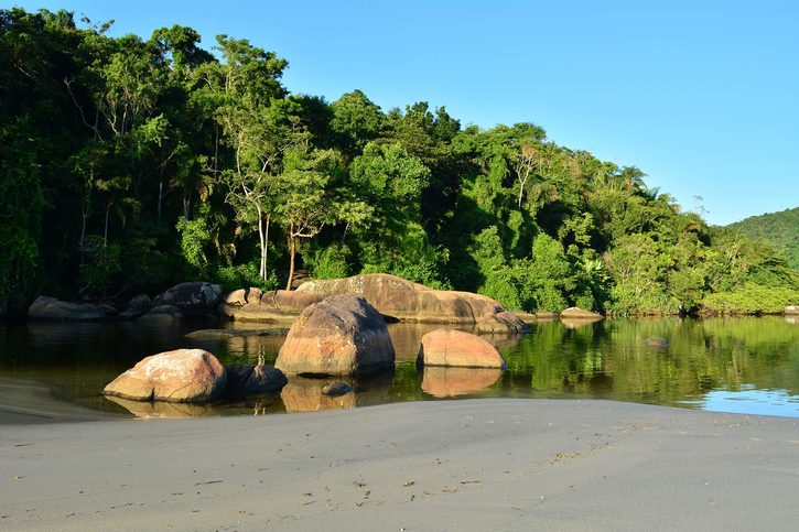 Krásná příroda v Ubatuba, Brazílie