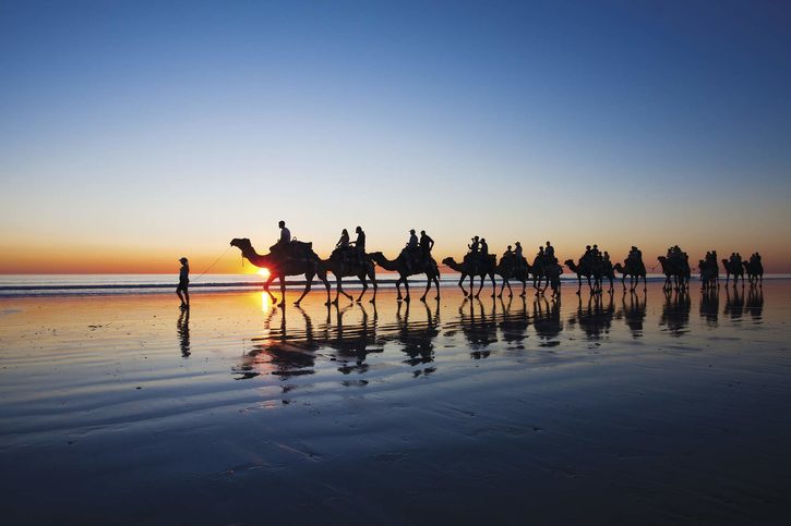 Velbloudi na pláži při západu slunce, Broome, Západní Austrálie