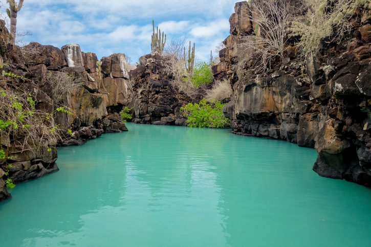 Krásná památka Las Grietas je geologická kaňonovitá formace na Galapágských ostrovech v Santa Cruz