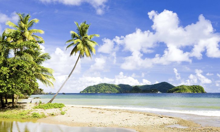 Batteaux Bay - pohled na krásnou pláž, Tobago