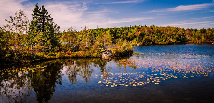 Venkovská scenérie během podzimu v Saint Johnu, Kanada