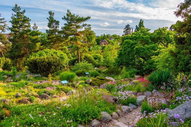 Aarhus - Botanická zahrada.