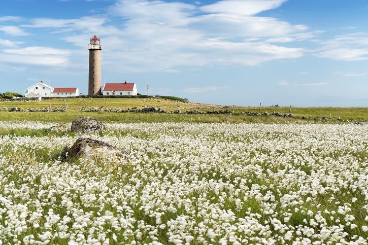 Lyngdal - Maják Lista Fyr