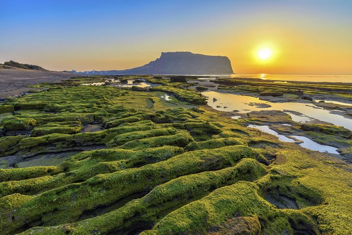 Východ slunce na Jeju Do Seongsan Ilchulbong, ostrov Čedžu