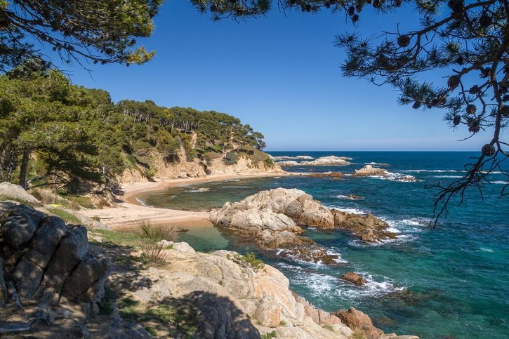 Palamós - Panorama Cala Estreta 