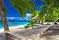 Houpací síť mezi palmami na živé tropické pláži Rarotonga, Cookovy ostrovy, Jižní Pacifik