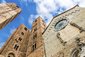 Savona - Pohled na katedrálu Albenze - Albenga, Savona, Liguria, Itálie-337125194