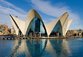 Město vědy a umění - reprezentativní národní muzeum ve španělské Valencii, vybudované v letech 1991–2005. Tento projekt je dílem architekta Santiaga Calatravy. Patří k jeho největším a nejsložitějším dílům a stalo se symbolem Valencie