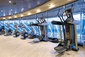 Wellness - MSC Divina