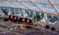 Salonek MSC Yacht Club - MSC World Asia