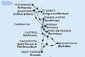 Barbados, Svatý Vincenc a Grenadiny, Grenada, Martinik, Guadeloupe, Svatý Martin, Antigua a Barbuda, Svatý Kryštof a Nevis, Dominika, Svatá Lucie z Bridgetownu na lodi MSC World Asia