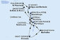 Barbados, Grenada, Martinik, Guadeloupe, Antigua a Barbuda, Svatý Martin, Svatý Kryštof a Nevis, Dominika, Svatá Lucie z Bridgetownu na lodi MSC World Europa