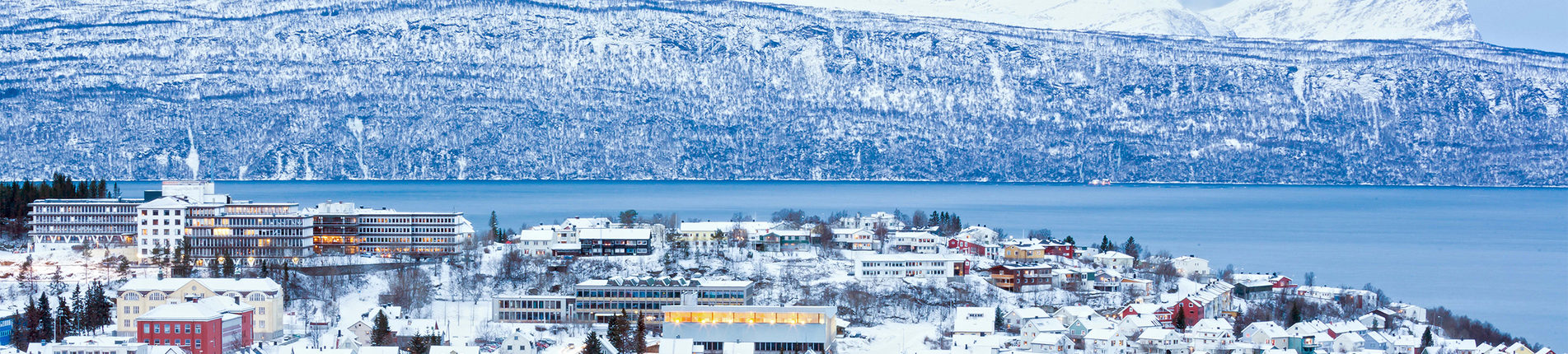 Narvik 