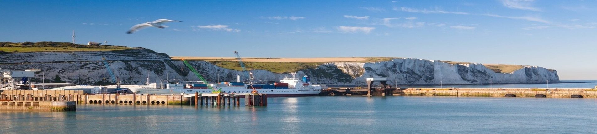 Dover