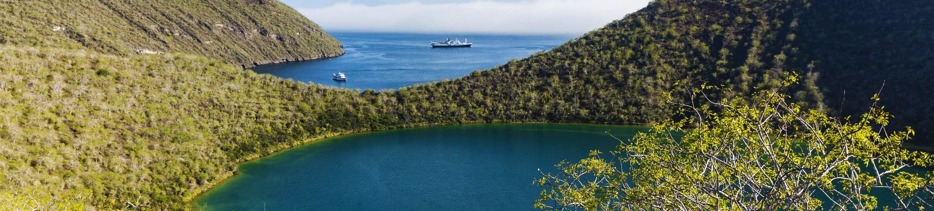 Tagus Cove (Galapágy, Isabela)