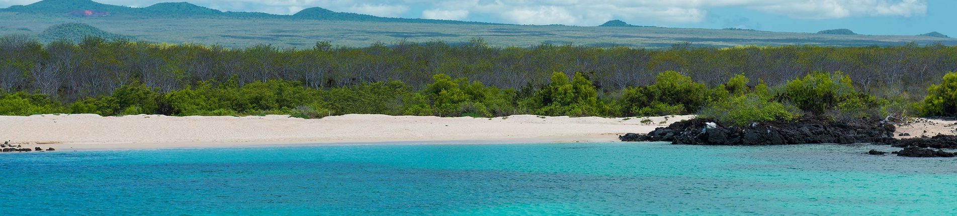 North Seymour Island (Galapágy)