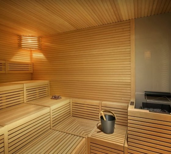 Sauna - Explora II