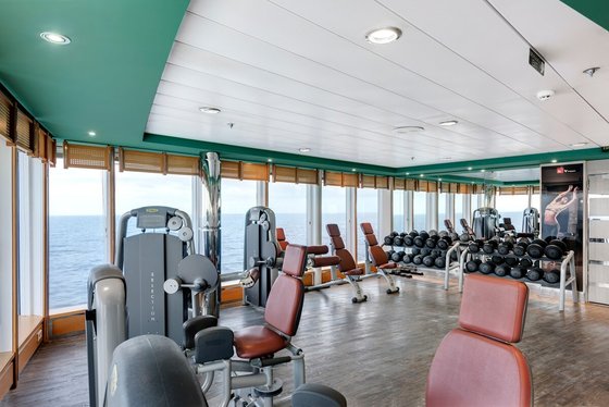 Posilovna - MSC_Armonia