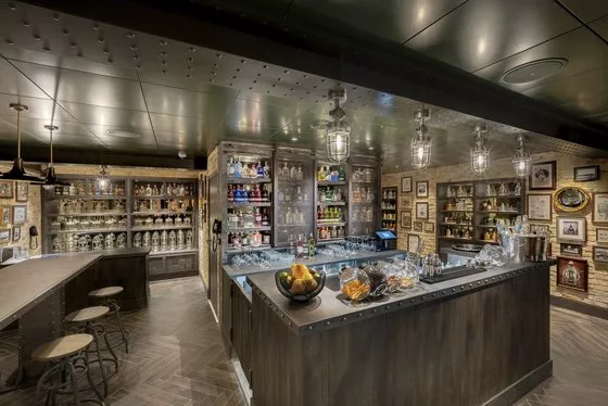 The Gin Project - MSC World America