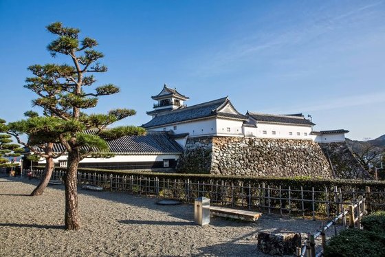 Po zemi vycházejícího slunce na Diamond Princess